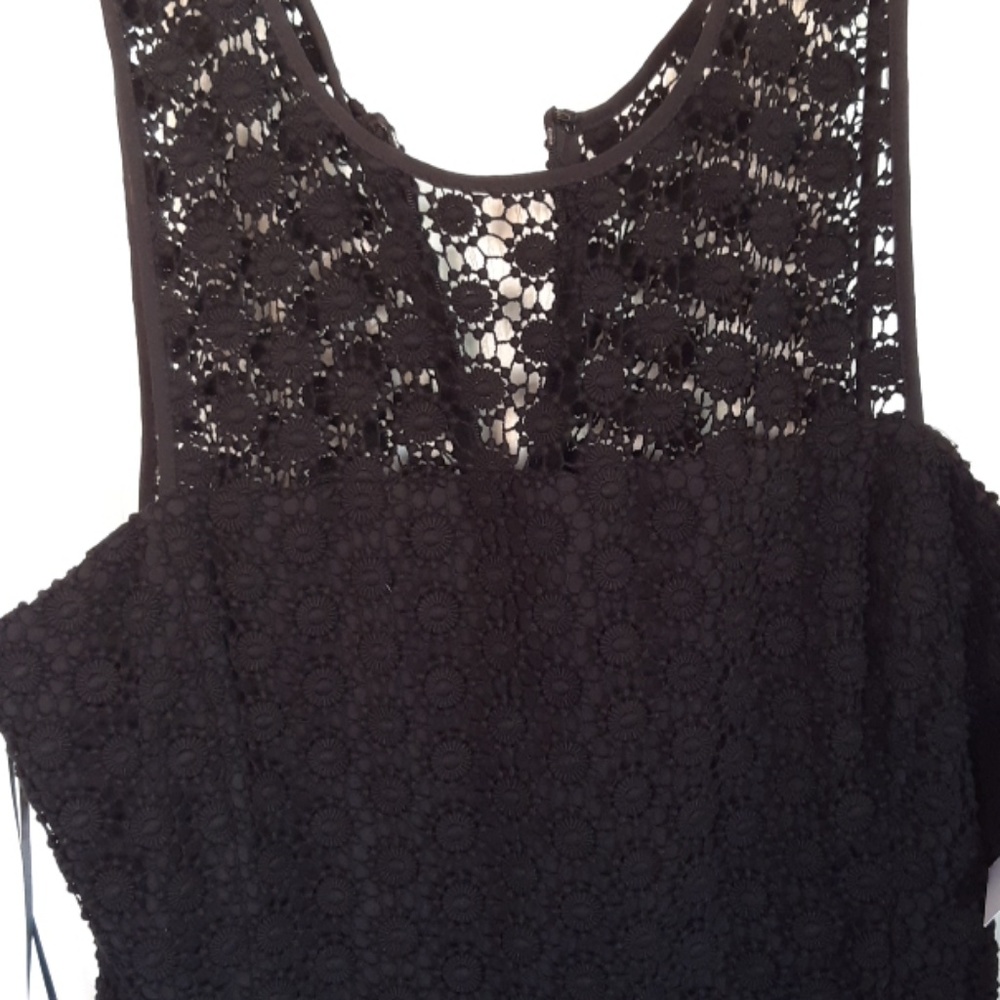 Cynthia Steffe Black Dress